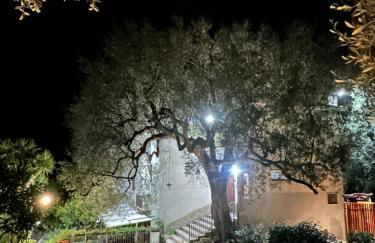 La Casa del Maestro Attico - Photo 5