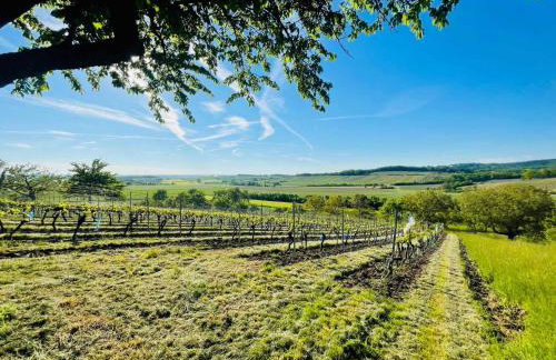 Apartment im Weinparadies - Foto 15