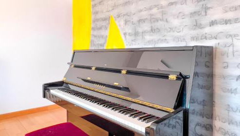 Majordoms - Jacint, Banyoles - Foto 5