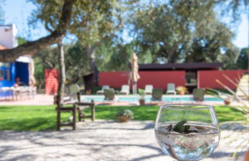 Herdade das Onzenas de Cima - Foto 8