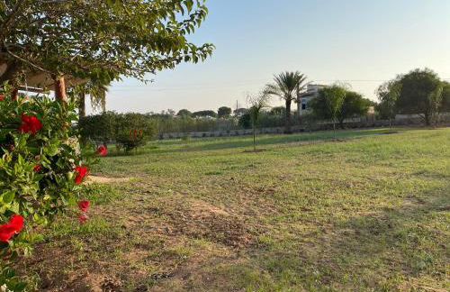 Ecuba house - Foto 29