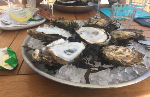 Manoir de Damigny - Photo 49