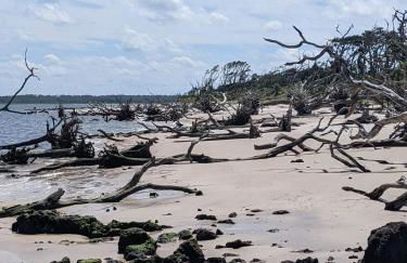 Pondside Perch - Your Waterfront Retreat home - Foto 57