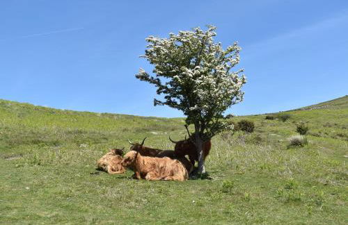 Beech Tree Cottage At Blackaton Manor Farm - Foto 21