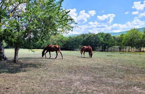 Hand-Built Black Fork Cabin 2 with Fire Pit! - Foto 31