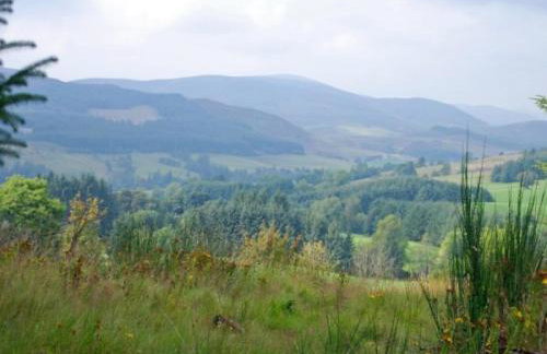 1 Bed in Blairgowrie oc-ca361 - Foto 12