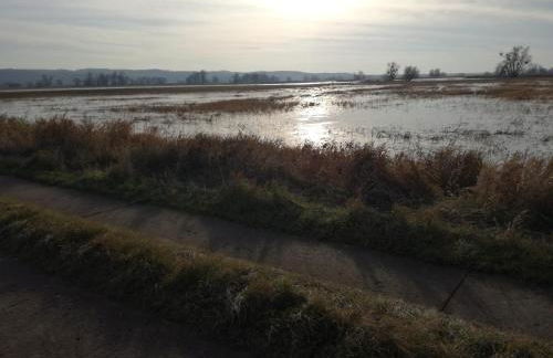 Gutshaus am Nationalpark Unteres Odertal - Foto 45