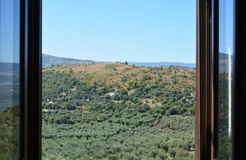 Torre Bruno - Foto 23