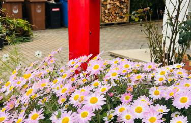 Apartment mit schöner Aussicht auf den Großen Feldberg & Burg Königstein & Frei PARKPLATZ auf Straßenseite - Foto 42