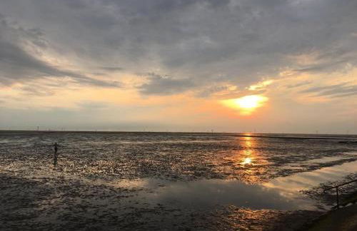 Wattwürmchen - Foto 22