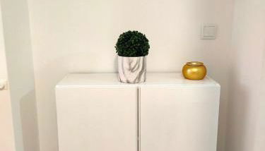 Casa da Sao - Photo 4