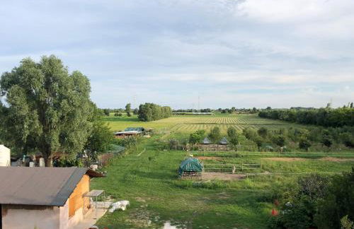 Pecore Ribelli - Photo 28