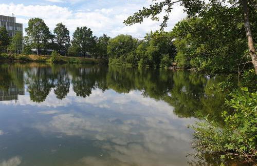 Ferienwohnungen Karle - Foto 9