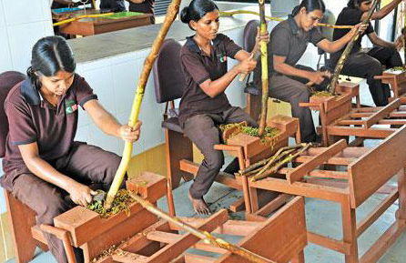 Safari sur le fleuve - Photo 6