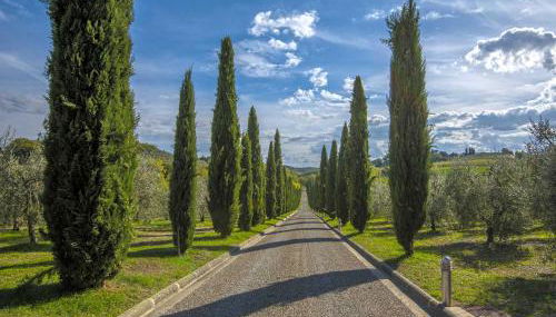 Villa Le Gallozzole - Foto 5