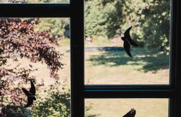 Kauperhaus - Photo 27