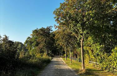 Fachwerkwohnung am Allerufer und Jakobsweg - Foto 17