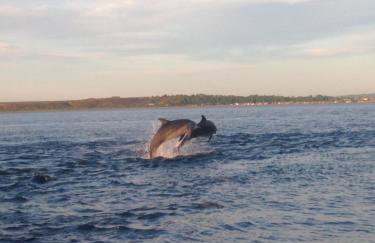 The Sheriffs Lodge - Photo 68