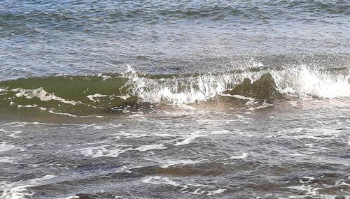 Wormshöft 16 - Foto 3