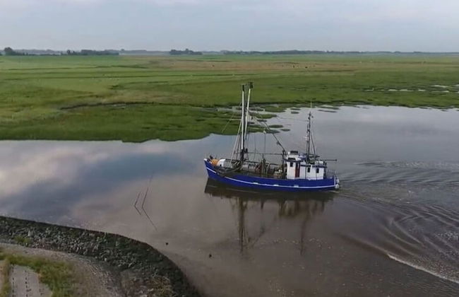 Sun, Mudflats and sea - Foto 10