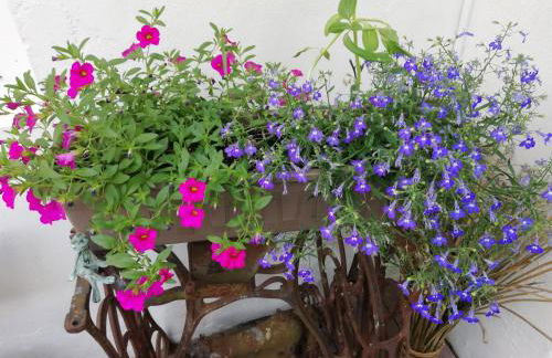 Ferienwohnung Einbeck FeWo B Nolte - Photo 72