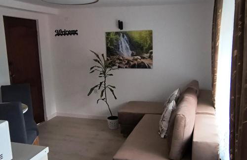 Apartament Palmowy Harnaś - Foto 9