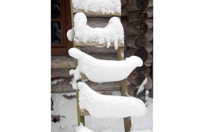 Metsäpirtti - Foto 19