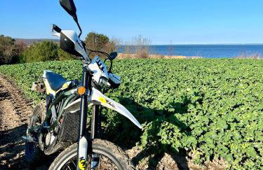 Narusa Leśna Przystań - Foto 18