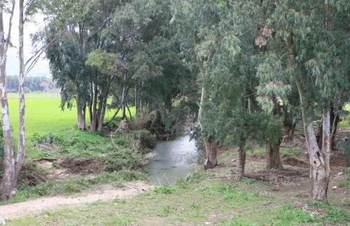 Molino El Mastral - Photo 63