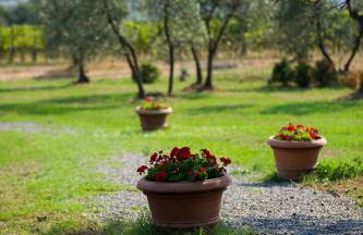 Casa Elisabetta - Foto 35