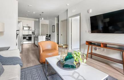 Historic Springfield Apartments by Landing - Photo 24