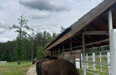 Błękitny Domek- dom i dwa oddzielne apartamenty - Foto 4