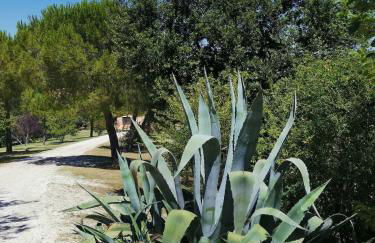 Villa Giulia, a splendid farmhouse in the Marche region - Foto 23