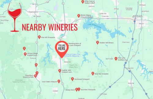 Luxury 4BR Log Cabin Near SIU & Wine Trail - Foto 6