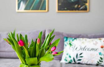 Top Alex domki Międzyzdroje Lubin - Foto 39