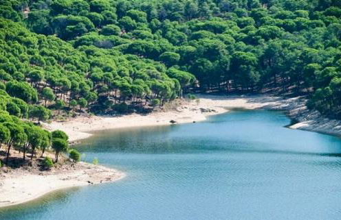 La casa del pantano de San Juan - Foto 58