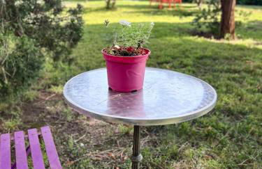 Oasis de verdure en centre-ville - jacuzzi privé - Foto 3