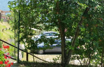 Agriturismo Roccagelli - Photo 49