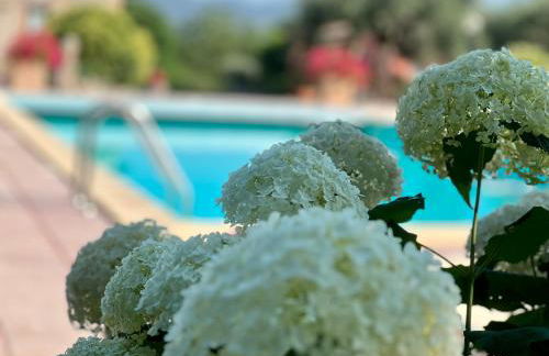 Le case di Lisetta Holiday homes - Photo 28