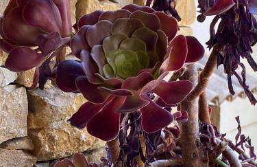 Mazet Tihou Calme, nature et piscine en Provence - Foto 28