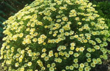 La Casa di Lice - Foto 37