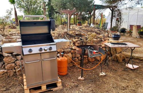 Relax y Descanso - Foto 55