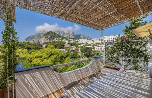 Oliveto Capri apartments - Foto 124