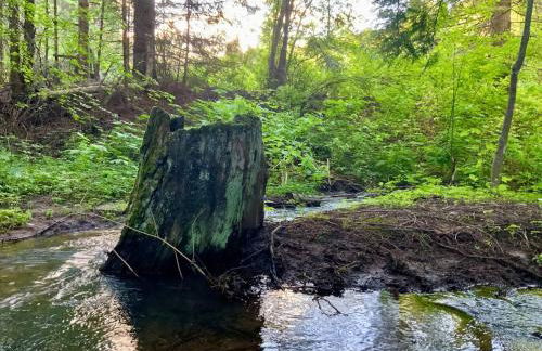 Private Forest Lodge Near Silverwood Theme Park - Sleeps 10 - Foto 10