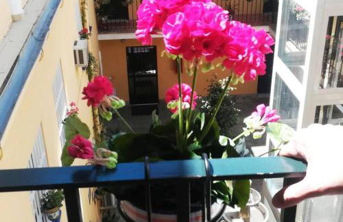 El Patio de San Bernardo - Foto 53