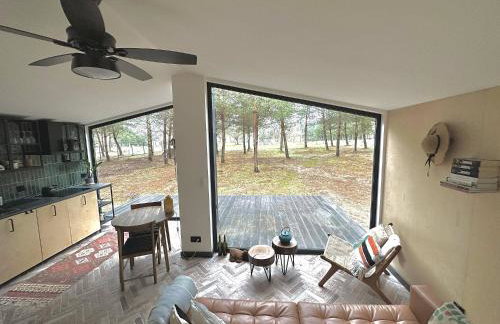 100 Drzew - Leśny Klimat Mazur - Foto 4