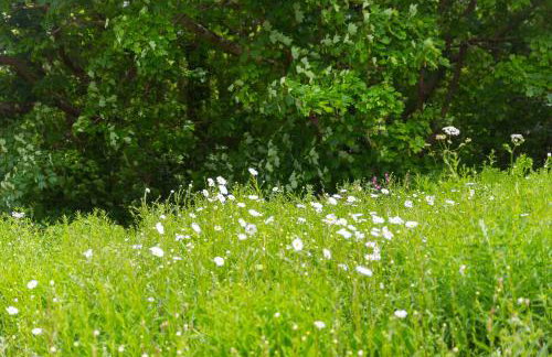 Carines Barns - Tre - Foto 36