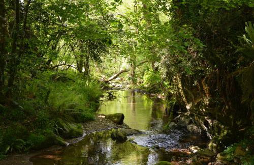 Apartamentos Rurales Piedrafita - Foto 71