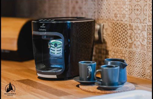 Hankówka Mazury - Foto 28