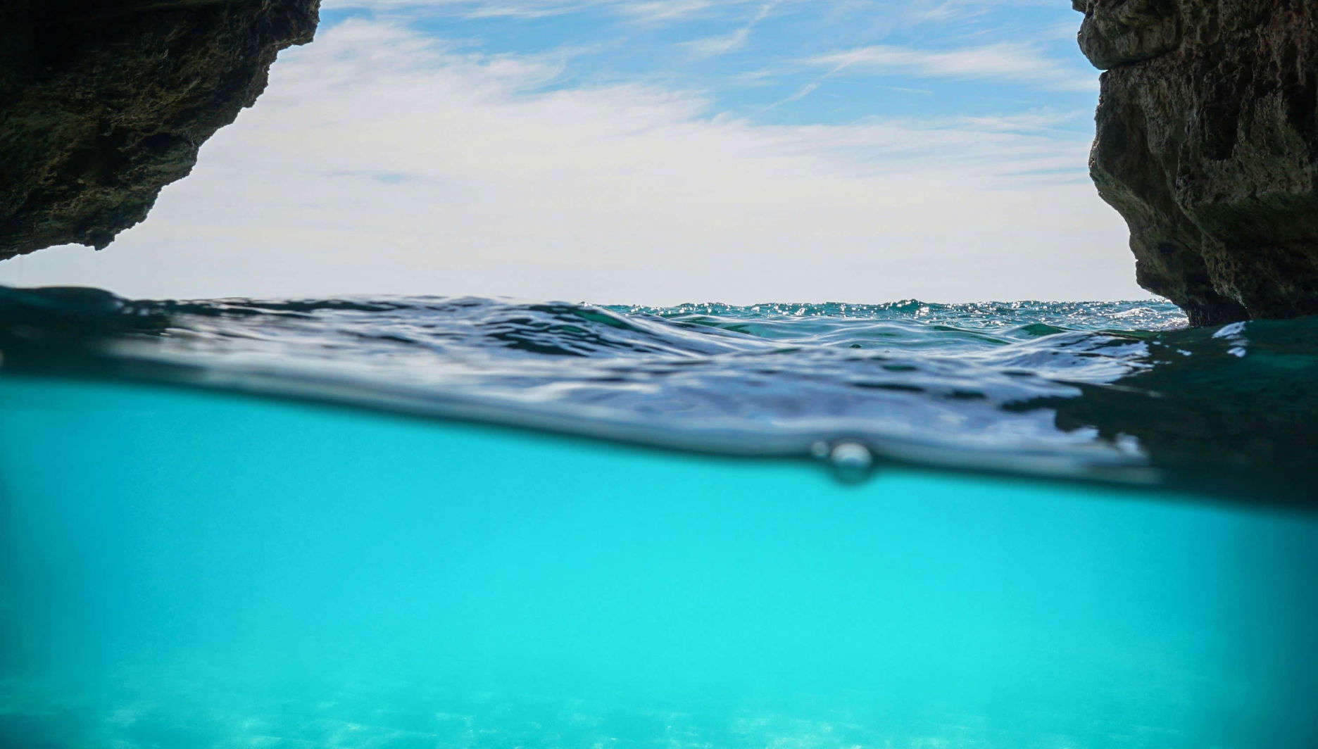 Sea Lion Cave Snorkelling - Foto 1